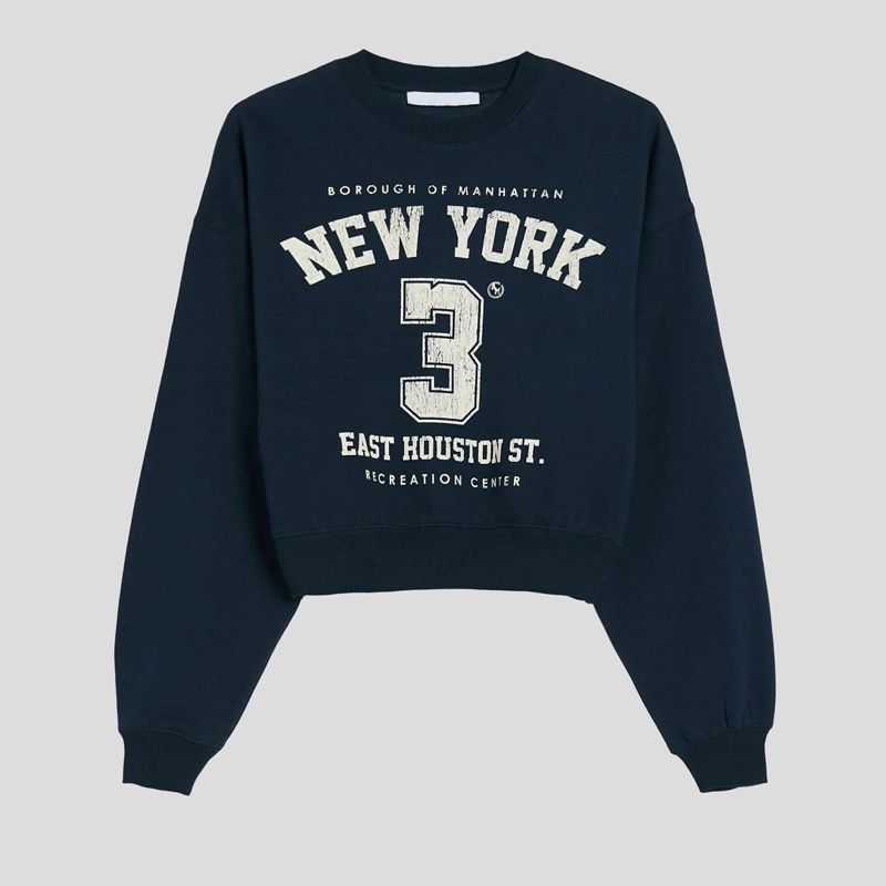 تصویر از سویشرت هاستن پول اند بیر