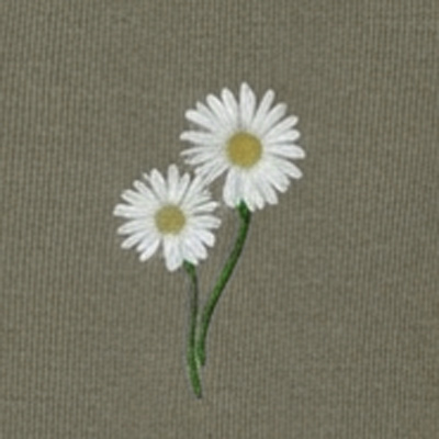 خاکی
