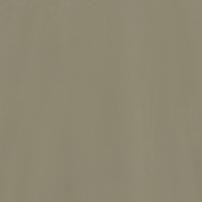 موشی